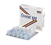 Clindax Injection 600 mg/4 ml